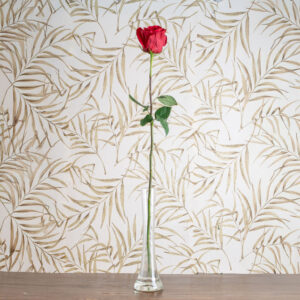 Rose a Gambo Lungo